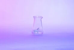 Conical Pitcher -Hario IMG 0026 DNG 15a6d343 2329 4e80 8788 c46ac0ab3809