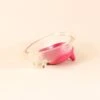 "Wanco" Pet Bowl - Glass Cherry Pink