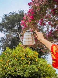 V60 "Buono" Drip Kettle 1.2L Silver 5 V60 "Buono" Drip Kettle 1.2L Silver -Hario VKB HSVALT